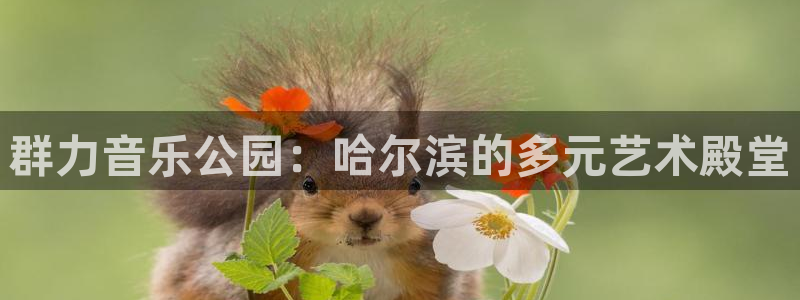 群力音乐公园：哈尔滨的多元艺术殿堂