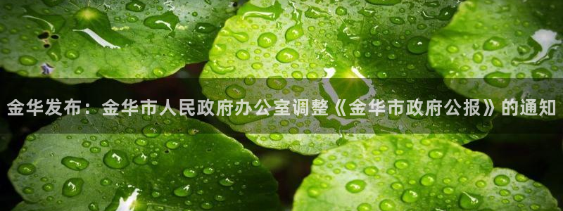 金华发布：金华市人民政府办公室调整《金华市政府公报》的通知