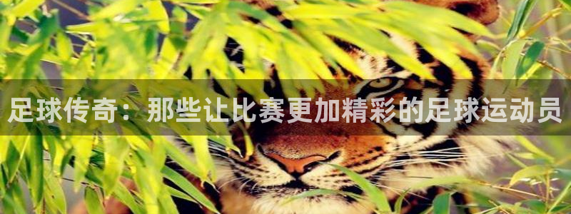 足球传奇：那些让比赛更加精彩的足球运动员