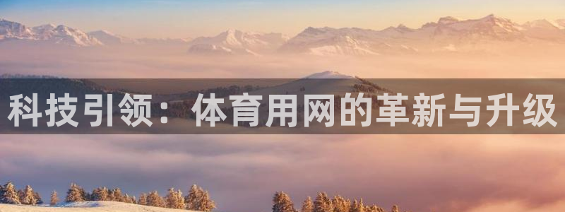 科技引领：体育用网的革新与升级