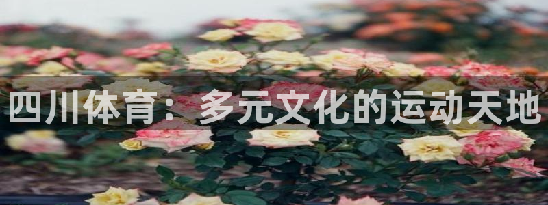 四川体育：多元文化的运动天地
