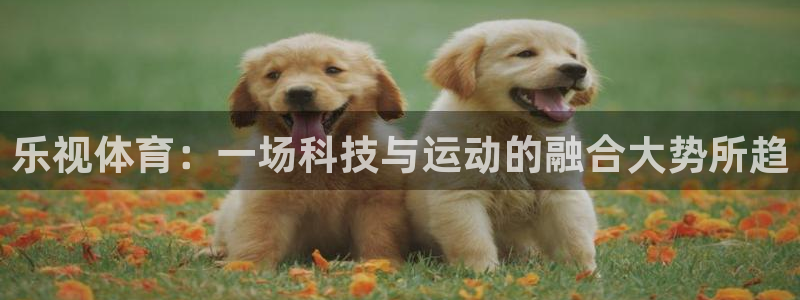 乐视体育：一场科技与运动的融合大势所趋