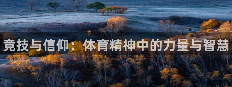 竞技与信仰：体育精神中的力量与智慧