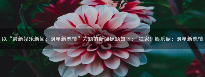 以“最新娱乐新闻：明星新恋情”为题的新闻标题如下：\