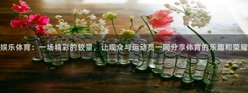 娱乐体育：一场精彩的较量，让观众与运动员一同分享体育的乐趣和荣耀