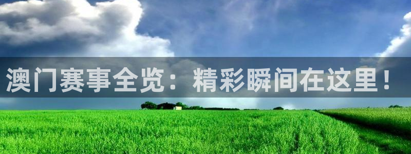 澳门赛事全览：精彩瞬间在这里！