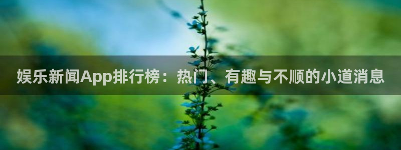 娱乐新闻App排行榜：热门、有趣与不顺的小道消息