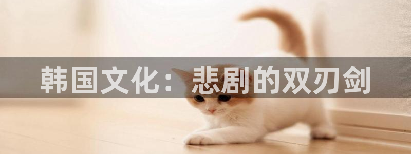 韩国文化：悲剧的双刃剑