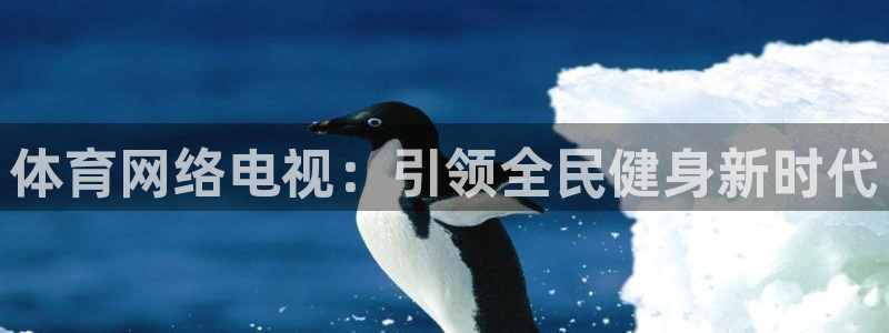 体育网络电视：引领全民健身新时代