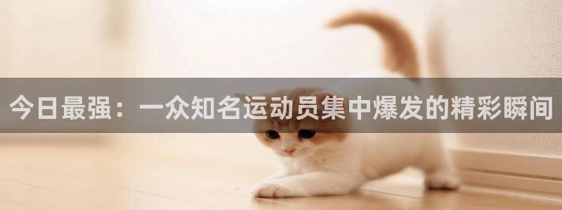 今日最强：一众知名运动员集中爆发的精彩瞬间