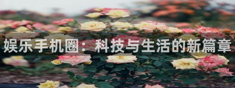娱乐手机圈：科技与生活的新篇章