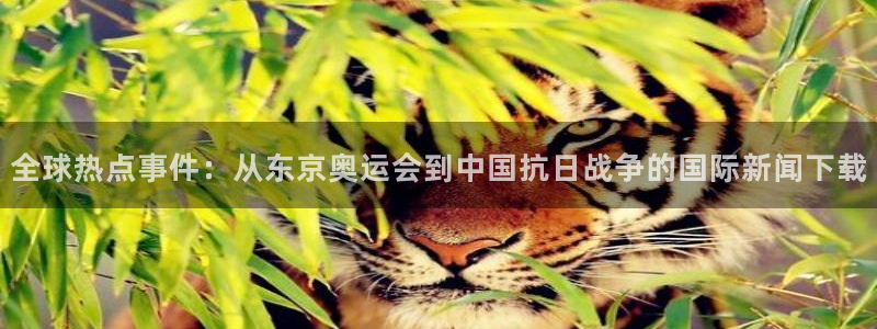 全球热点事件：从东京奥运会到中国抗日战争的国际新闻下载