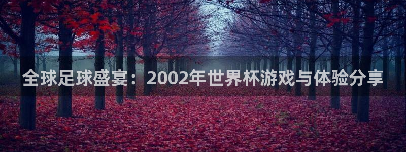 全球足球盛宴：2002年世界杯游戏与体验分享