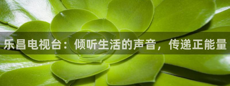 乐昌电视台：倾听生活的声音，传递正能量