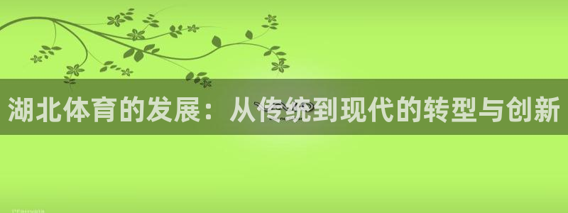 湖北体育的发展：从传统到现代的转型与创新