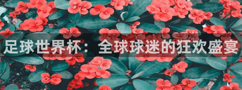 足球世界杯：全球球迷的狂欢盛宴