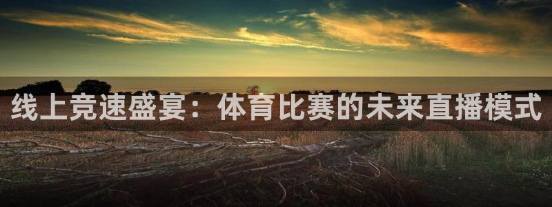 线上竞速盛宴：体育比赛的未来直播模式