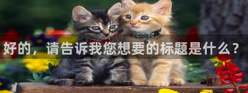好的，请告诉我您想要的标题是什么？