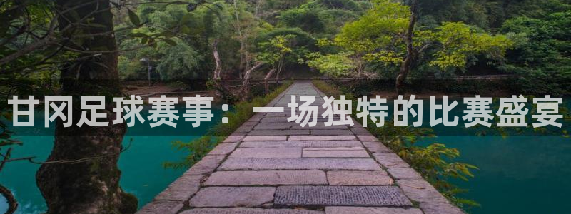 甘冈足球赛事：一场独特的比赛盛宴