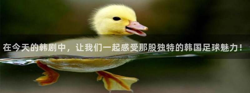 在今天的韩剧中，让我们一起感受那股独特的韩国足球魅力！