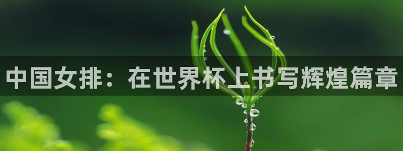 中国女排：在世界杯上书写辉煌篇章