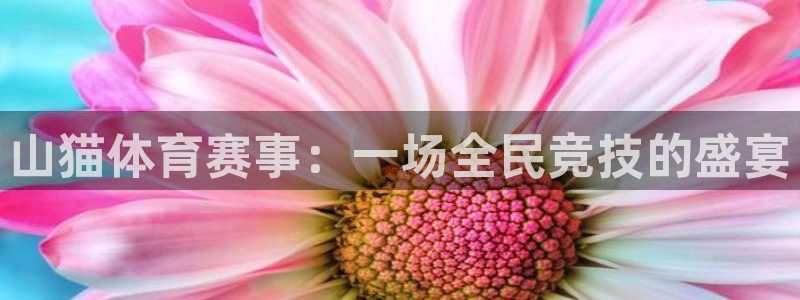 山猫体育赛事：一场全民竞技的盛宴