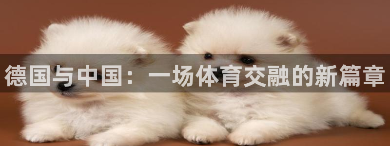 德国与中国：一场体育交融的新篇章