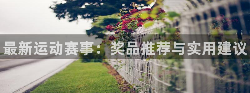 最新运动赛事：奖品推荐与实用建议