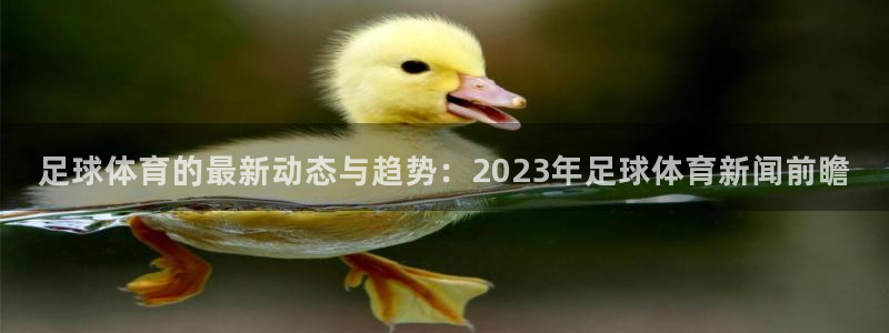 足球体育的最新动态与趋势：2023年足球体育新闻前瞻