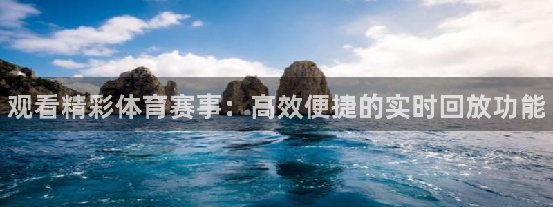 观看精彩体育赛事：高效便捷的实时回放功能