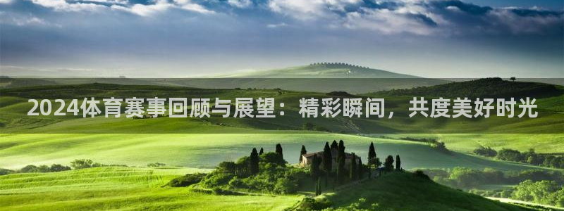 2024体育赛事回顾与展望:精彩瞬间,共度美好时光